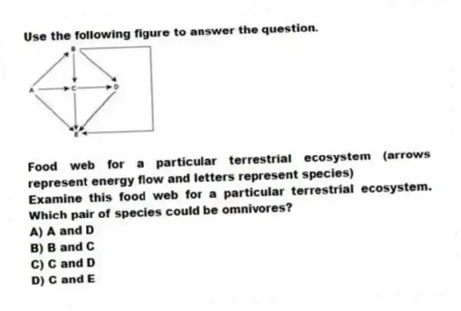Use the following figure to answer the question.
Food web for a particular terrestrial ecosystem (arrows represent energy flow and letters represent species)
Examine this food web for a particular terrestrial ecosystem. Which pair of species could be omnivores?
A) A and D
B) B and C
C) C and D
D) C and E