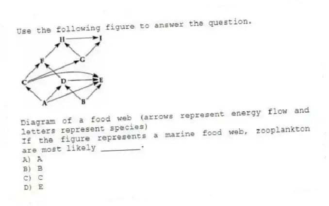 Use the following figure to answer the question.
Diagram of a food web (arrows represent energy flow and letters represent species)
If the figure represents a marine food web, zooplankton are most likely ________.
A) A
B) B
C) C
D) E