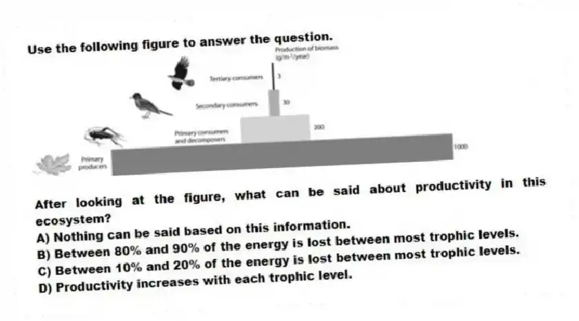 Use the following figure to answer the question.
After looking at the figure, what can be said about productivity in this ecosystem?
A) Nothing can be said based on this information.
B) Between 80% and 90% of the energy is lost between most trophic levels.
C) Between 10% and 20% of the energy is lost between most trophic levels.
D) Productivity increases with each trophic level.