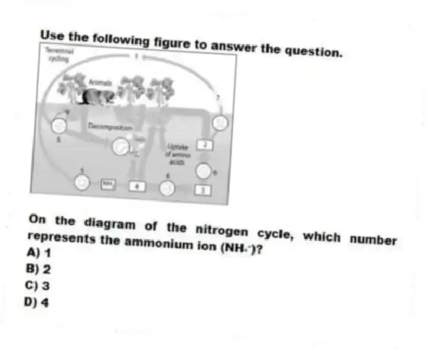 Use the following figure to answer the question.
On the diagram of the nitrogen cycle, which number represents the ammonium ion (NH₄⁺)?
A) 1
B) 2
C) 3
D) 4