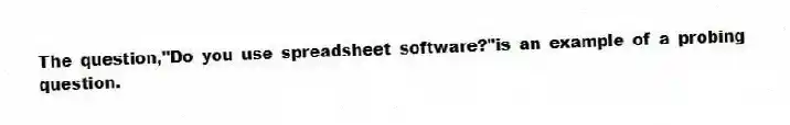 The question,"Do you use spreadsheet software?"is an example of a probing question.