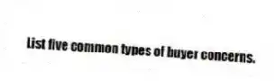 List five common types of buyer concerns.