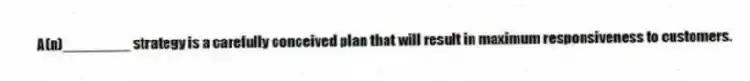 A(n)________ strategy is a carefully conceived plan that will result in maximum responsiveness to customers.