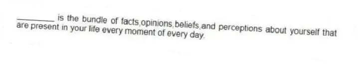 ________ is the bundle of facts,opinions,beliefs,and perceptions about yourself that are present in your life every moment of every day.