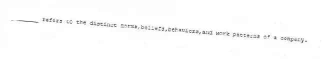 ________ refers to the distinct norms,beliefs,behaviors,and work patterns of a company.