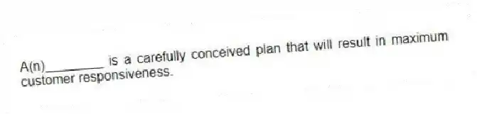 A(n)________ is a carefully conceived plan that will result in maximum customer responsiveness.