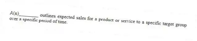A(n)________ outlines expected sales for a product or service to a specific target group over a specific period of time.