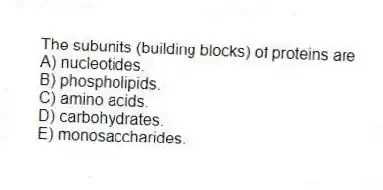 The subunits (building blocks) of proteins are
A) nucleotides.
B) phospholipids.
C) amino acids.
D) carbohydrates.
E) monosaccharides.