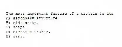 The most important feature of a protein is its
A) secondary structure.
B) side group.
C) shape.
D) electric charge.
E) size.