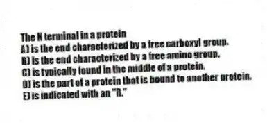 The N terminal in a protein
A) is the end characterized by a free carboxyl group.
B) is the end characterized by a free amino group.
C) is typically found in the middle of a protein.
D) is the part of a protein that is bound to another protein.
E) is indicated with an "R."