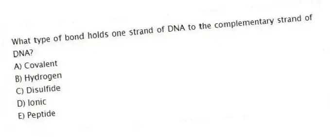 What type of bond holds one strand of DNA to the complementary strand of DNA?
A) Covalent
B) Hydrogen
C) Disulfide
D) Ionic
E) Peptide