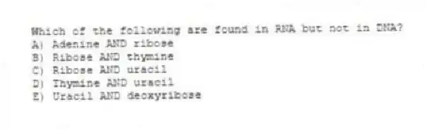 Which of the following are found in RNA but not in DNA?
A) Adenine AND ribose
B) Ribose AND thymine
C) Ribose AND uracil
D) Thymine AND uracil
E) Uracil AND deoxyribose