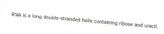 RNA is a long double-stranded helix containing ribose and uracil.