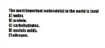 The most important molecule(s) in the world is (are)
A) water.
B) protein.
C) carbohydrates.
D) nucleic acids.
E) nitrogen.