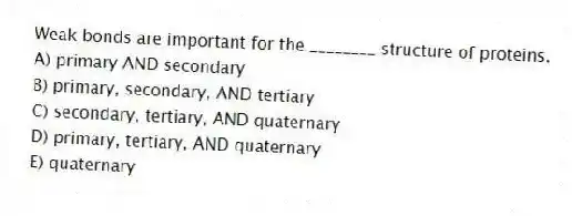 Weak bonds are important for the ________ structure of proteins.
A) primary AND secondary
B) primary, secondary, AND tertiary
C) secondary, tertiary, AND quaternary
D) primary, tertiary, AND quaternary
E) quaternary