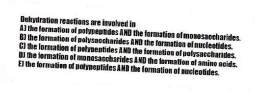 Dehydration reactions are involved in
A) the formation of polypeptides AND the formation of monosaccharides.
B) the formation of polysaccharides AND the formation of nucleotides.
C) the formation of polypeptides AND the formation of polysaccharides.
D) the formation of monosaccharides AND the formation of amino acids.
E) the formation of polypeptides AND the formation of nucleotides.