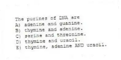 The purines of DNA are
A) adenine and guanine.
B) thymine and adenine.
C) serine and threonine.
D) thymine and uracil.
E) thymine, adenine AND uracil.