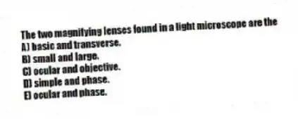 The two magnifying lenses found in a light microscope are the
A) basic and transverse.
B) small and large.
C) ocular and objective.
D) simple and phase.
E) ocular and phase.