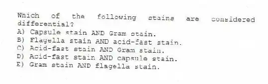 Which of the following stains are considered differential?
A) Capsule stain AND Gram stain.
B) Flagella stain AND acid-fast stain.
C) Acid-fast stain AND Gram stain.
D) Acid-fast stain AND capsule stain.
E) Gram stain AND flagella stain.