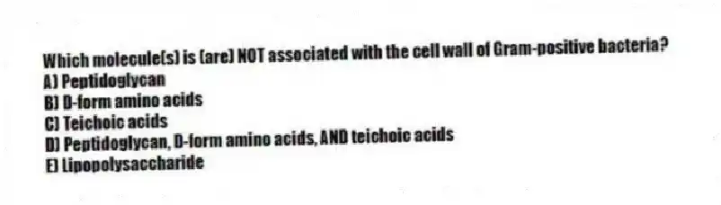 Which molecule(s) is (are) NOT associated with the cell wall of Gram-positive bacteria?
A) Peptidoglycan
B) D-form amino acids
C) Teichoic acids
D) Peptidoglycan, D-form amino acids, AND teichoic acids
E) Lipopolysaccharide