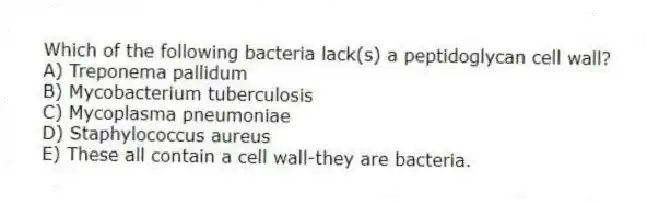 Which of the following bacteria lack(s) a peptidoglycan cell wall?
A) Treponema pallidum
B) Mycobacterium tuberculosis
C) Mycoplasma pneumoniae
D) Staphylococcus aureus
E) These all contain a cell wall-they are bacteria.