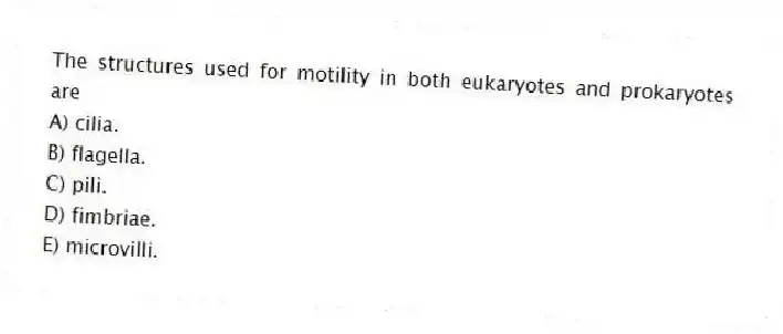 The structures used for motility in both eukaryotes and prokaryotes are
A) cilia.
B) flagella.
C) pili.
D) fimbriae.
E) microvilli.