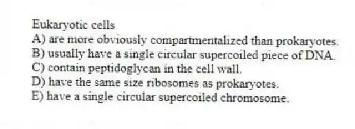 Eukaryotic cells
A) are more obviously compartmentalized than prokaryotes.
B) usually have a single circular supercoiled piece of DNA.
C) contain peptidoglycan in the cell wall.
D) have the same size ribosomes as prokaryotes.
E) have a single circular supercoiled chromosome.