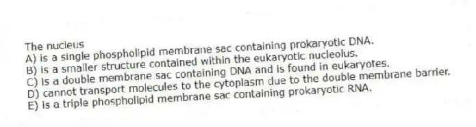 The nucleus
A) is a single phospholipid membrane sac containing prokaryotic DNA.
B) is a smaller structure contained within the eukaryotic nucleolus.
C) is a double membrane sac containing DNA and is found in eukaryotes.
D) cannot transport molecules to the cytoplasm due to the double membrane barrier.
E) is a triple phospholipid membrane sac containing prokaryotic RNA.