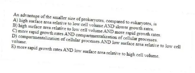 An advantage of the smaller size of prokaryotes, compared to eukaryotes, is
A) high surface area relative to low cell volume AND slower growth rates.
B) high surface area relative to low cell volume AND more rapid growth rates.
C) more rapid growth rates AND compartmentalization of cellular processes.
D) compartmentalization of cellular processes AND low surface area relative to low cell volume.
E) more rapid growth rates AND low surface area relative to high cell volume.