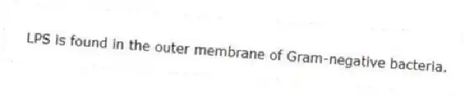 LPS is found in the outer membrane of Gram-negative bacteria.
