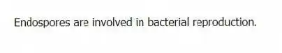 Endospores are involved in bacterial reproduction.