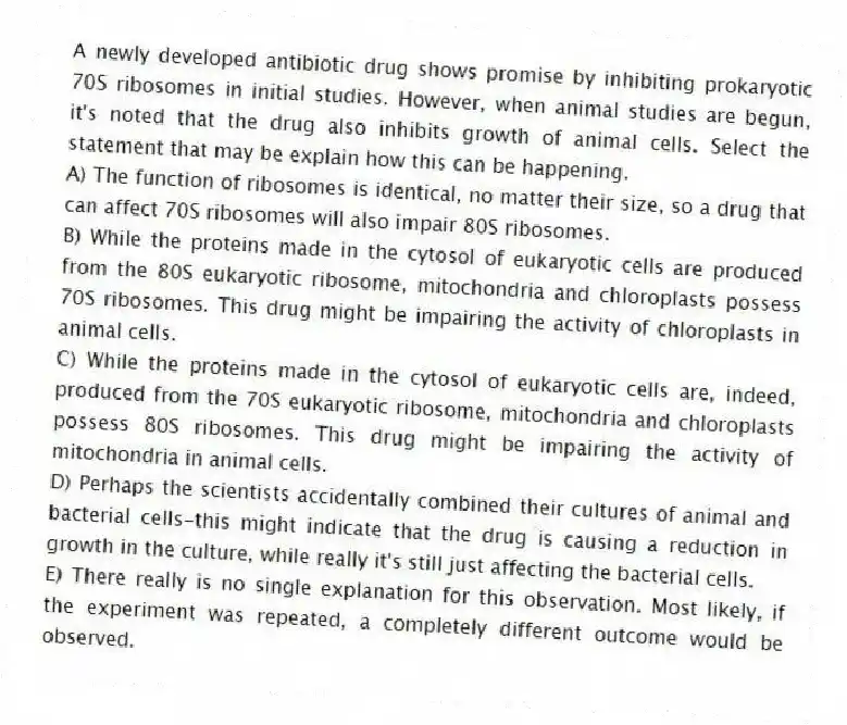 A newly developed antibiotic drug shows promise by inhibiting prokaryotic 70S ribosomes in initial studies. However, when animal studies are begun, it's noted that the drug also inhibits growth of animal cells. Select the statement that may be explain how this can be happening.
A) The function of ribosomes is identical, no matter their size, so a drug that can affect 70S ribosomes will also impair 80S ribosomes.
B) While the proteins made in the cytosol of eukaryotic cells are produced from the 80S eukaryotic ribosome, mitochondria and chloroplasts possess 70S ribosomes. This drug might be impairing the activity of chloroplasts in animal cells.
C) While the proteins made in the cytosol of eukaryotic cells are, indeed, produced from the 70S eukaryotic ribosome, mitochondria and chloroplasts possess 80S ribosomes. This drug might be impairing the activity of mitochondria in animal cells.
D) Perhaps the scientists accidentally combined their cultures of animal and bacterial cells-this might indicate that the drug is causing a reduction in growth in the culture, while really it's still just affecting the bacterial cells.
E) There really is no single explanation for this observation. Most likely, if the experiment was repeated, a completely different outcome would be observed.