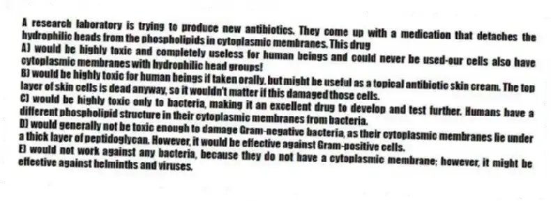 A research laboratory is trying to produce new antibiotics. They come up with a medication that detaches the hydrophilic heads from the phospholipids in cytoplasmic membranes. This drug
A) would be highly toxic and completely useless for human beings and could never be used-our cells also have cytoplasmic membranes with hydrophilic head groups!
B) would be highly toxic for human beings if taken orally, but might be useful as a topical antibiotic skin cream. The top layer of skin cells is dead anyway, so it wouldn't matter if this damaged those cells.
C) would be highly toxic only to bacteria, making it an excellent drug to develop and test further. Humans have a different phospholipid structure in their cytoplasmic membranes from bacteria.
D) would generally not be toxic enough to damage Gram-negative bacteria, as their cytoplasmic membranes lie under a thick layer of peptidoglycan. However, it would be effective against Gram-positive cells.
E) would not work against any bacteria, because they do not have a cytoplasmic membrane; however, it might be effective against helminths and viruses.