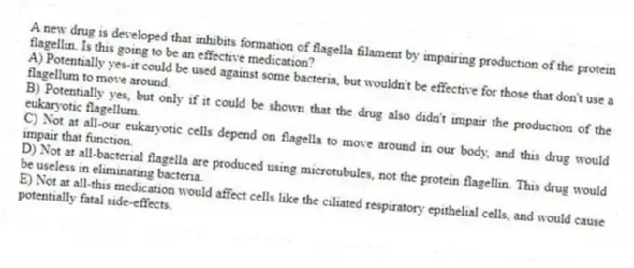 A new drug is developed that inhibits formation of flagella filament by impairing production of the protein flagellin. Is this going to be an effective medication?
A) Potentially yes-it could be used against some bacteria, but wouldn't be effective for those that don't use a flagellum to move around.
B) Potentially yes, but only if it could be shown that the drug also didn't impair the production of the eukaryotic flagellum.
C) Not at all-our eukaryotic cells depend on flagella to move around in our body, and this drug would impair that function.
D) Not at all-bacterial flagella are produced using microtubules, not the protein flagellin. This drug would be useless in eliminating bacteria.
E) Not at all-this medication would affect cells like the ciliated respiratory epithelial cells, and would cause potentially fatal side-effects.