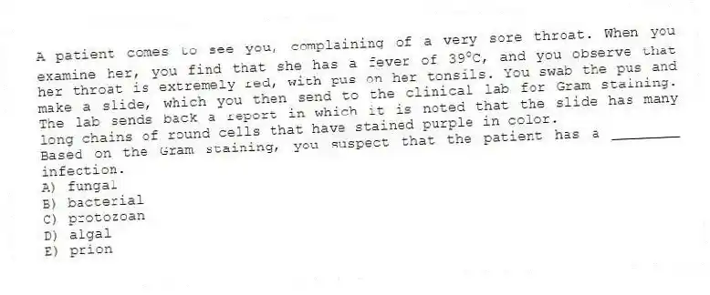 A patient comes to see you, complaining of a very sore throat. When you examine her, you find that she has a fever of 39 o C, and you observe that her throat is extremely red, with pus on her tonsils. You swab the pus and make a slide, which you then send to the clinical lab for Gram staining. The lab sends back a report in which it is noted that the slide has many long chains of round cells that have stained purple in color.
-Based on the Gram staining, you suspect that the patient has a ________ infection. 
A) fungal
B) bacterial
C) protozoan
D) algal
E) prion