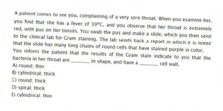 A patient comes to see you, complaining of a very sore throat. When you examine her, you find that she has a fever of 39 o C, and you observe that her throat is extremely red, with pus on her tonsils. You swab the pus and make a slide, which you then send to the clinical lab for Gram staining. The lab sends back a report in which it is noted that the slide has many long chains of round cells that have stained purple in color.
-You inform the patient that the results of the Gram stain indicate to you that the bacteria in her throat are ________ in shape, and have a ________ cell wall.
A) round; thin
B) cylindrical; thick
C) round; thick
D) spiral; thick
E) cylindrical; thin