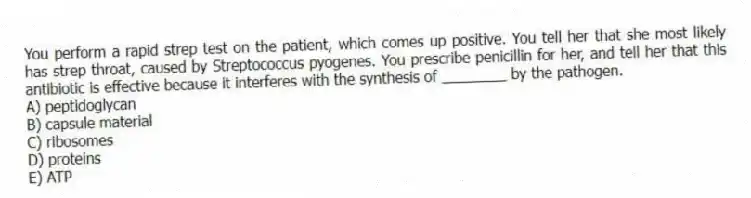 You perform a rapid strep test on the patient, which comes up positive. You tell her that she most likely has strep throat, caused by Streptococcus pyogenes. You prescribe penicillin for her, and tell her that this antibiotic is effective because it interferes with the synthesis of ________ by the pathogen.
A) peptidoglycan
B) capsule material
C) ribosomes
D) proteins
E) ATP