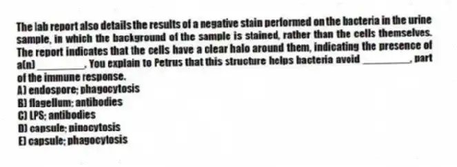 The lab report also details the results of a negative stain performed on the bacteria in the urine sample, in which the background of the sample is stained, rather than the cells themselves. The report indicates that the cells have a clear halo around them, indicating the presence of a(n) ________. You explain to Petrus that this structure helps bacteria avoid ________, part of the immune response.
A) endospore; phagocytosis
B) flagellum; antibodies
C) LPS; antibodies
D) capsule; pinocytosis
E) capsule; phagocytosis