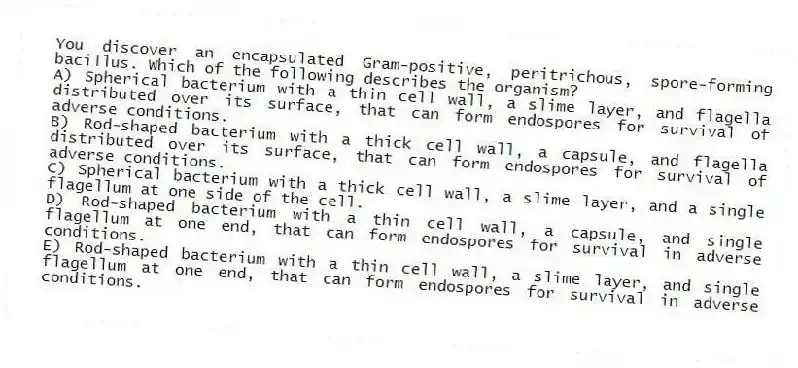 You discover an encapsulated Gram-positive, peritrichous, spore-forming bacillus. Which of the following describes the organism?
A) Spherical bacterium with a thin cell wall, a slime layer, and flagella distributed over its surface, that can form endospores for survival of adverse conditions.
B) Rod-shaped bacterium with a thick cell wall, a capsule, and flagella distributed over its surface, that can form endospores for survival of adverse conditions.
C) Spherical bacterium with a thick cell wall, a slime layer, and a single flagellum at one side of the cell.
D) Rod-shaped bacterium with a thin cell wall, a capsule, and single flagellum at one end, that can form endospores for survival in adverse conditions.
E) Rod-shaped bacterium with a thin cell wall, a slime layer, and single flagellum at one end, that can form endospores for survival in adverse conditions.
