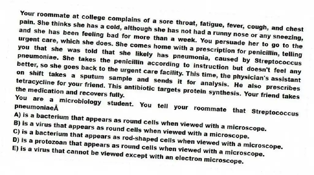Your roommate at college complains of a sore throat, fatigue, fever, cough, and chest pain. She thinks she has a cold, although she has not had a runny nose or any sneezing, and she has been feeling bad for more than a week. You persuade her to go to the urgent care, which she does. She comes home with a prescription for penicillin, telling you that she was told that she likely has pneumonia, caused by Streptococcus pneumoniae. She takes the penicillin according to instruction but doesn't feel any better, so she goes back to the urgent care facility. This time, the physician's assistant on shift takes a sputum sample and sends it for analysis. He also prescribes tetracycline for your friend. This antibiotic targets protein synthesis. Your friend takes the medication and recovers fully.
-You are a microbiology student. You tell your roommate that Streptococcus pneumoniae
A) is a bacterium that appears as round cells when viewed with a microscope.
B) is a virus that appears as round cells when viewed with a microscope.
C) is a bacterium that appears as rod-shaped cells when viewed with a microscope.
D) is a protozoan that appears as round cells when viewed with a microscope.
E) is a virus that cannot be viewed except with an electron microscope.