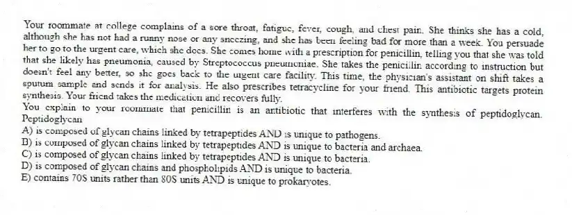 Your roommate at college complains of a sore throat, fatigue, fever, cough, and chest pain. She thinks she has a cold, although she has not had a runny nose or any sneezing, and she has been feeling bad for more than a week. You persuade her to go to the urgent care, which she does. She comes home with a prescription for penicillin, telling you that she was told that she likely has pneumonia, caused by Streptococcus pneumoniae. She takes the penicillin according to instruction but doesn't feel any better, so she goes back to the urgent care facility. This time, the physician's assistant on shift takes a sputum sample and sends it for analysis. He also prescribes tetracycline for your friend. This antibiotic targets protein synthesis. Your friend takes the medication and recovers fully.
-You explain to your roommate that penicillin is an antibiotic that interferes with the synthesis of peptidoglycan. Peptidoglycan
A) is composed of glycan chains linked by tetrapeptides AND is unique to pathogens.
B) is composed of glycan chains linked by tetrapeptides AND is unique to bacteria and archaea.
C) is composed of glycan chains linked by tetrapeptides AND is unique to bacteria.
D) is composed of glycan chains and phospholipids AND is unique to bacteria.
E) contains 70S units rather than 80S units AND is unique to prokaryotes.