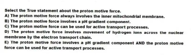 Select the True statement about the proton motive force.
A) The proton motive force always involves the inner mitochondrial membrane.
B) The proton motive force involves a pH gradient component.
C) The proton motive force can be used for active transport processes.
D) The proton motive force involves movement of hydrogen ions across the nuclear membrane by the electron transport chain.
E) The proton motive force involves a pH gradient component AND the proton motive force can be used for active transport processes.