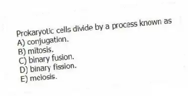 Prokaryotic cells divide by a process known as
A) conjugation.
B) mitosis.
C) binary fusion.
D) binary fission.
E) meiosis.