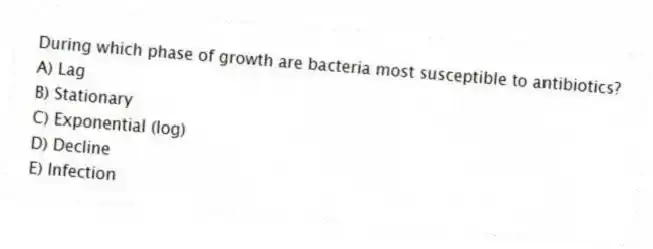During which phase of growth are bacteria most susceptible to antibiotics?
A) Lag
B) Stationary
C) Exponential (log)
D) Decline
E) Infection