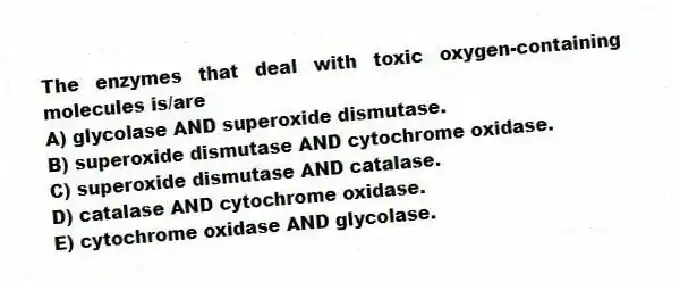 The enzymes that deal with toxic oxygen-containing molecules is/are
A) glycolase AND superoxide dismutase.
B) superoxide dismutase AND cytochrome oxidase.
C) superoxide dismutase AND catalase.
D) catalase AND cytochrome oxidase.
E) cytochrome oxidase AND glycolase.
