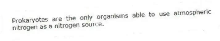 Prokaryotes are the only organisms able to use atmospheric nitrogen as a nitrogen source.