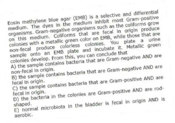 Eosin methylene blue agar (EMB) is a selective and differential medium. The dyes in the medium inhibit most Gram-positive organisms. Gram-negative organisms such as the coliforms grow on this medium. Coliforms that are fecal in origin produce colonies with a metallic green color on EMB, while those that are non-fecal produce colorless colonies. You plate a urine sample onto an EMB plate and incubate it. Metallic green colonies develop. From this, you can conclude that
A) the sample contains bacteria that are Gram-negative AND are non-fecal in origin.
B) the sample contains bacteria that are Gram-negative AND are fecal in origin.
C) the sample contains bacteria that are Gram-positive AND are fecal in origin.
D) the bacteria in the colonies are Gram-positive AND are rod-shaped.
E) normal microbiota in the bladder is fecal in origin AND is aerobic.