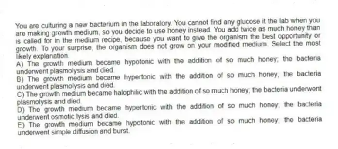 You are culturing a new bacterium in the laboratory. You cannot find any glucose it the lab when you are making growth medium, so you decide to use honey instead. You add twice as much honey than is called for in the medium recipe, because you want to give the organism the best opportunity or growth. To your surprise, the organism does not grow on your modified medium. Select the most likely explanation.
A) The growth medium became hypotonic with the addition of so much honey; the bacteria underwent plasmolysis and died.
B) The growth medium became hypertonic with the addition of so much honey; the bacteria underwent plasmolysis and died.
C) The growth medium became halophilic with the addition of so much honey; the bacteria underwent plasmolysis and died.
D) The growth medium became hypertonic with the addition of so much honey; the bacteria underwent osmotic lysis and died.
E) The growth medium became hypotonic with the addition of so much honey; the bacteria underwent simple diffusion and burst.