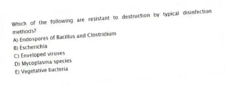 Which of the following are resistant to destruction by typical disinfection methods?
A) Endospores of Bacillus and Clostridium
B) Escherichia
C) Enveloped viruses
D) Mycoplasma species
E) Vegetative bacteria