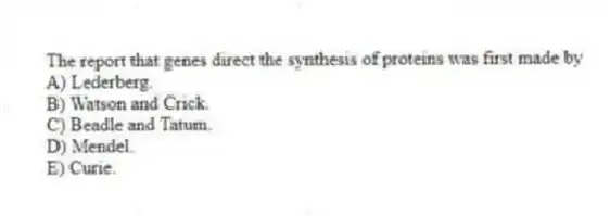 The report that genes direct the synthesis of proteins was first made by
A) Lederberg.
B) Watson and Crick.
C) Beadle and Tatum.
D) Mendel.
E) Curie.